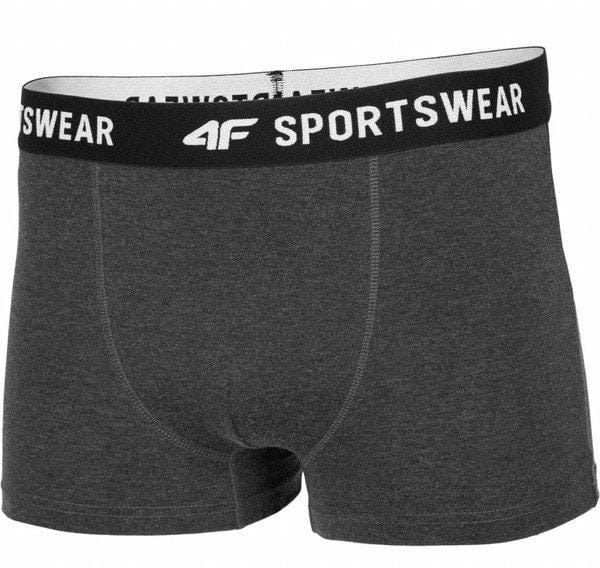 Unterwäsche für Männer 4F Men's Underwear BIM001
