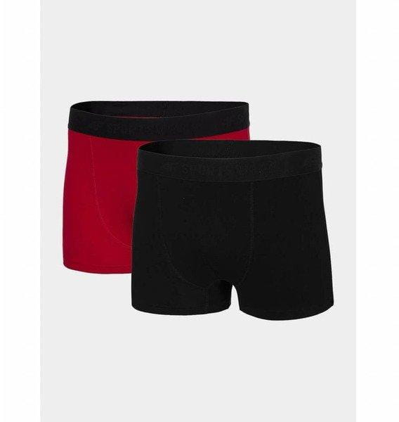 Unterwäsche für Männer 4F Men's Underwear BIM001
