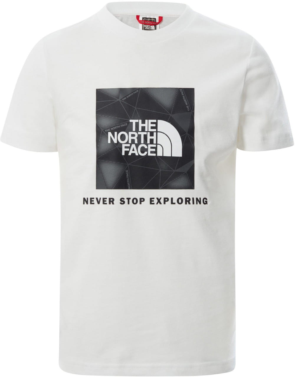 Dětské tričko s krátkým rukávem The North Face Youth Box S/S Tee