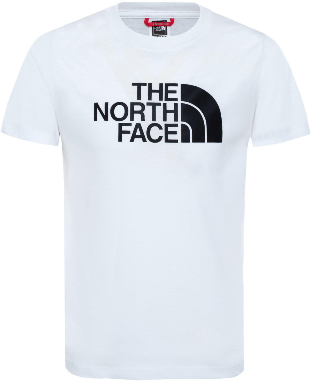 Dětské tričko s krátkým rukávem The North Face Youth S/S Easy Tee