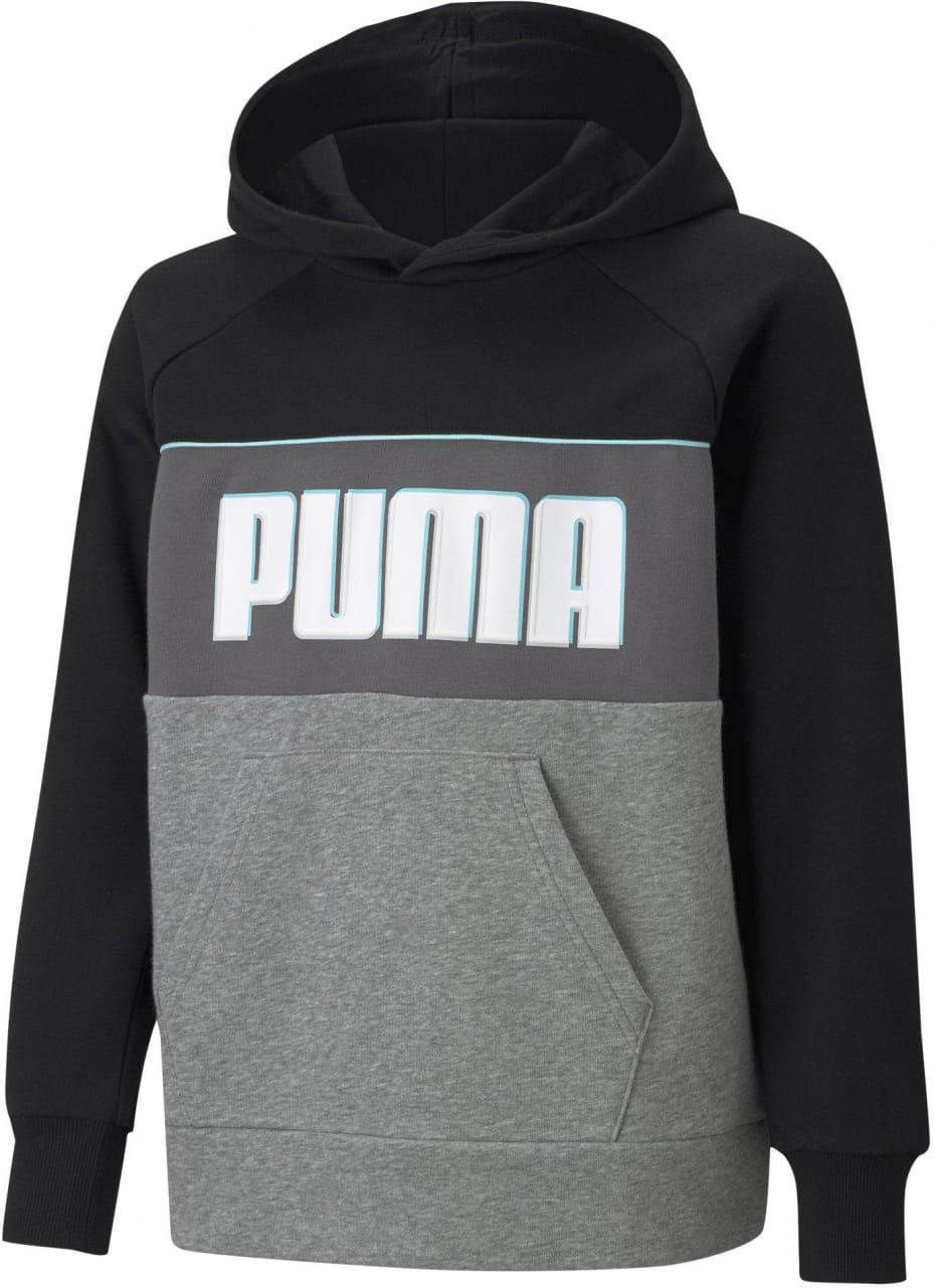 Sweatshirts Puma Alpha Hoodie