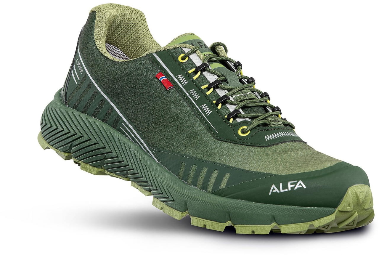 Pánska nízka turistická obuv Alfa Drift Advance Gtx M