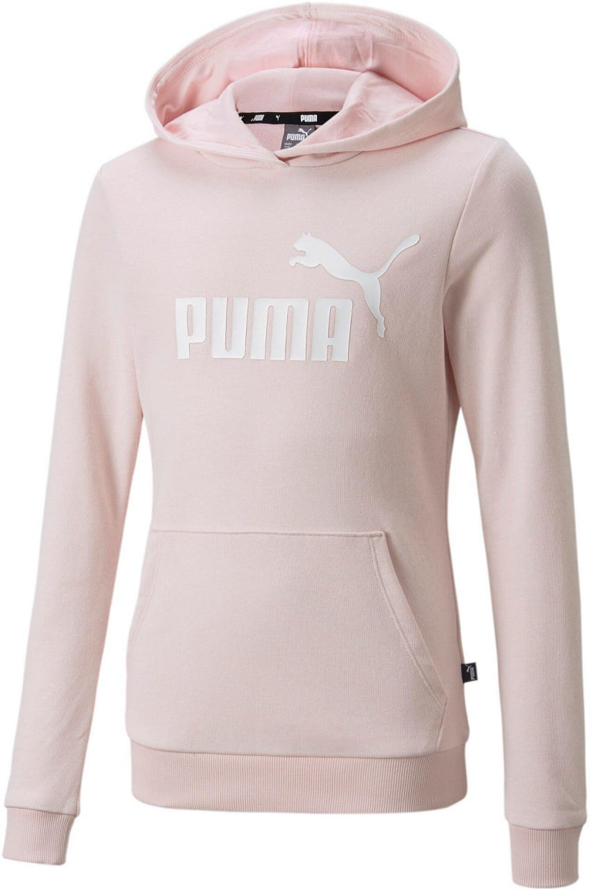 Dětská sportovní mikina Puma ESS Logo Hoodie TR G