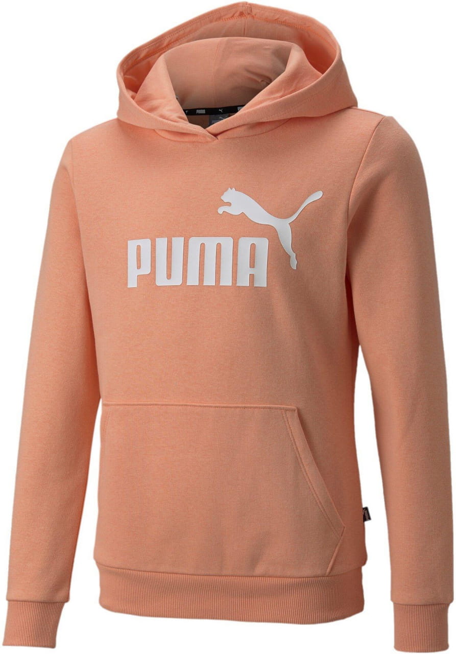 Gyermek sport pulóver Puma ESS Logo Hoodie FL G