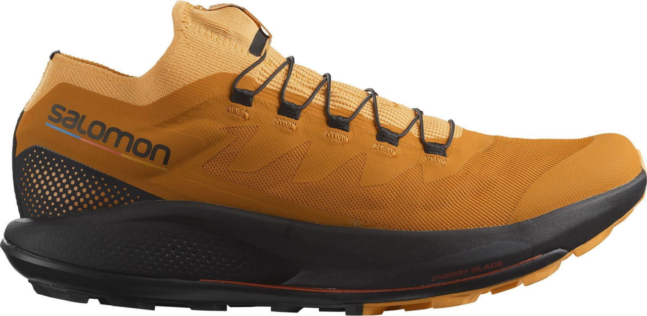 Pantofi de alergare pentru bărbați Salomon Pulsar Trail Pro