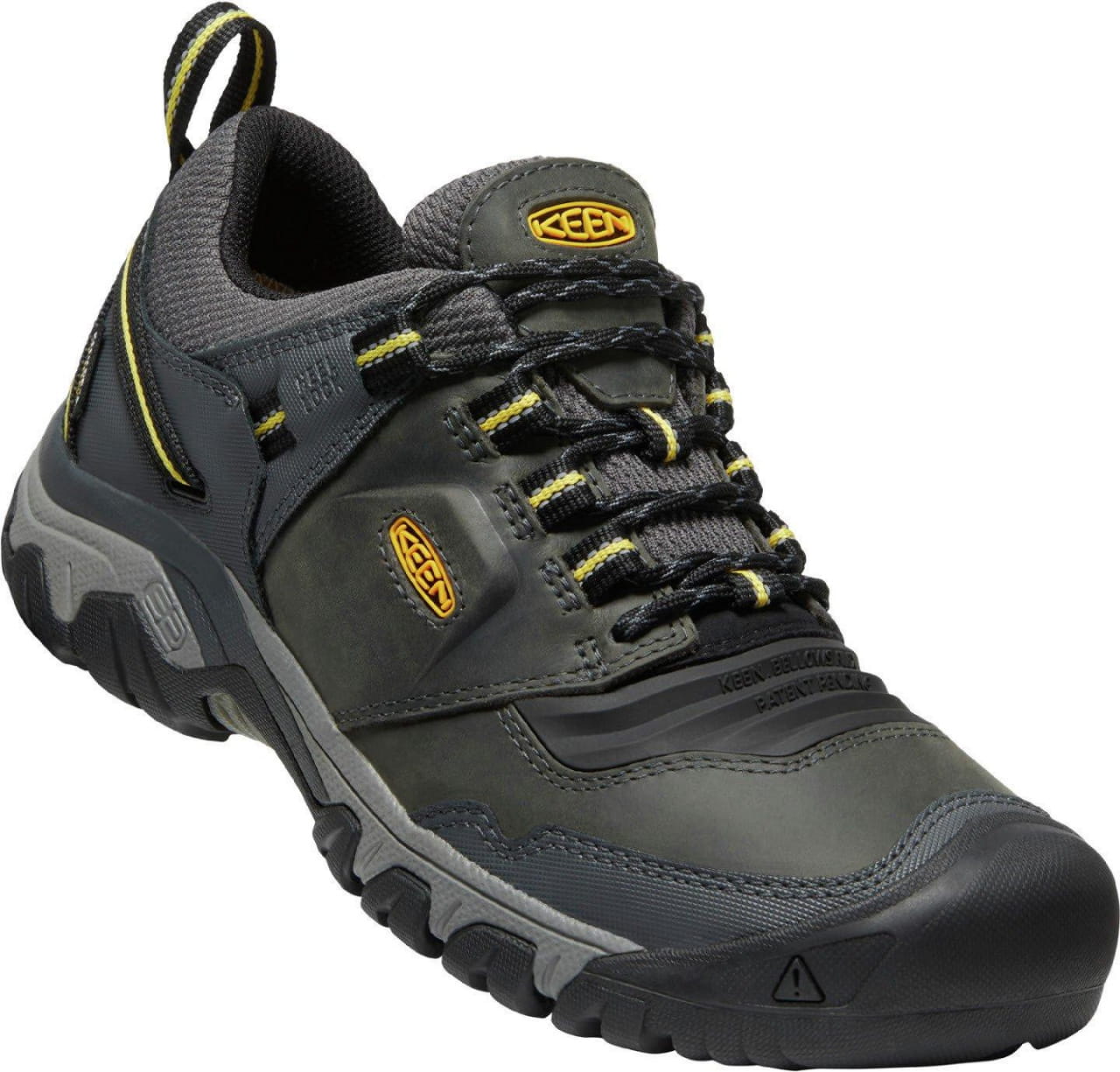 Outdoor-Schuhe für Männer Keen Ridge Flex Wp M