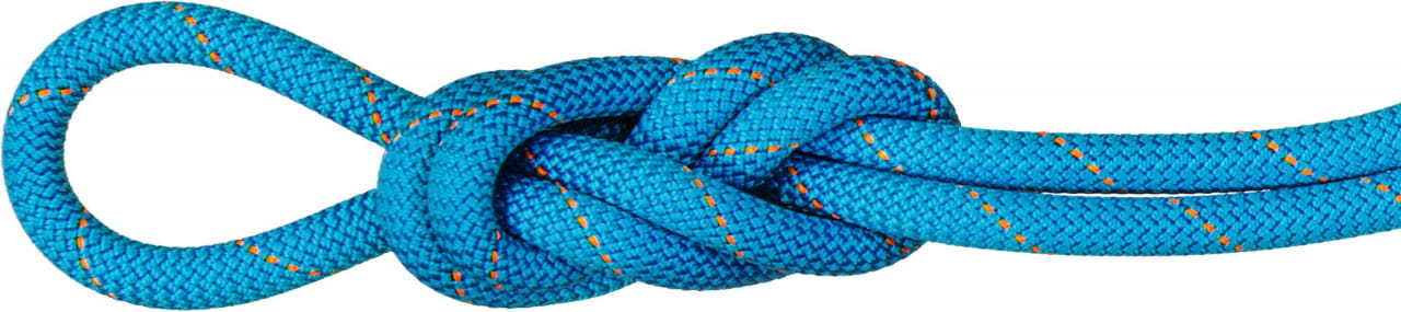 Corde pour les gymnases Mammut 9.9 Gym Workhorse Dry Rope