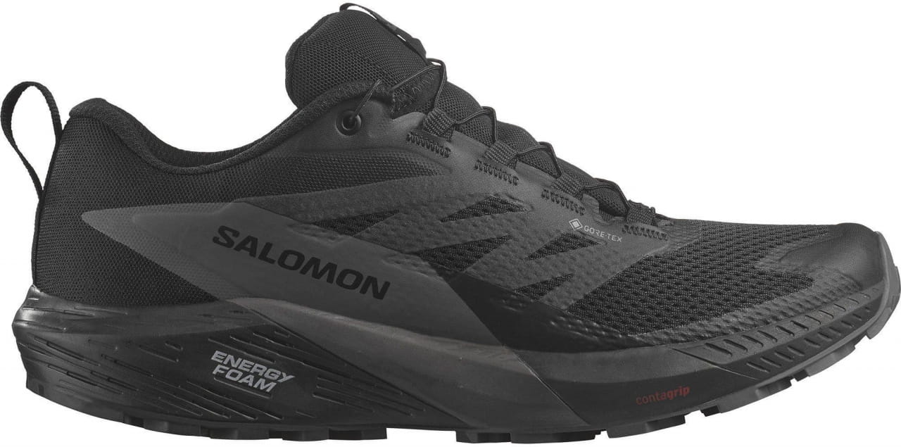 Pánská běžecká obuv Salomon Sense Ride 5 GTX