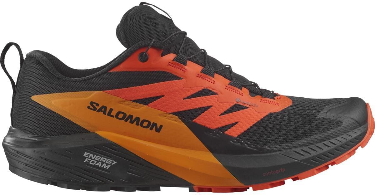 Męskie buty do biegania Salomon Sense Ride 5 Gtx