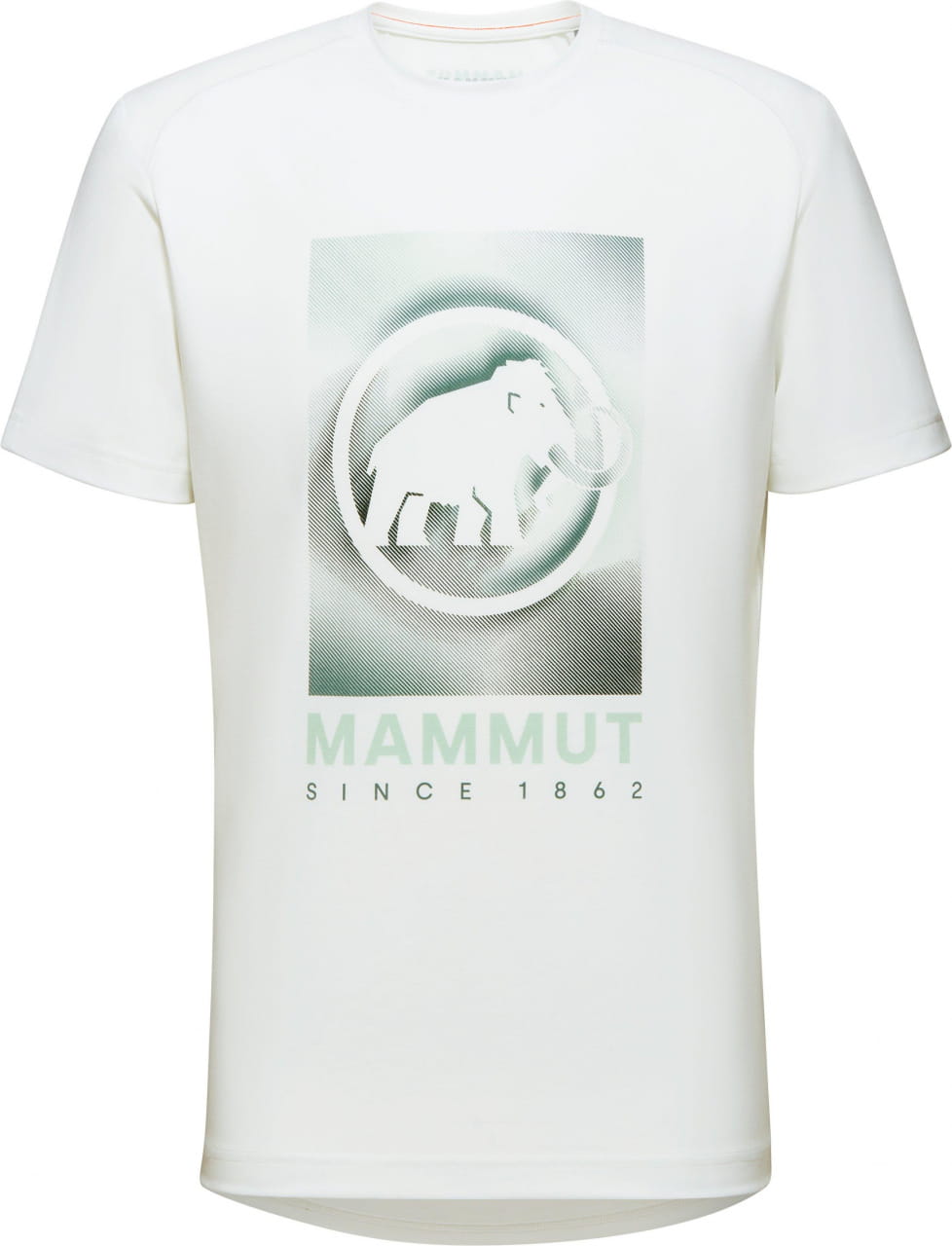 Męska koszulka sportowa Mammut Trovat T-Shirt Men Mammut