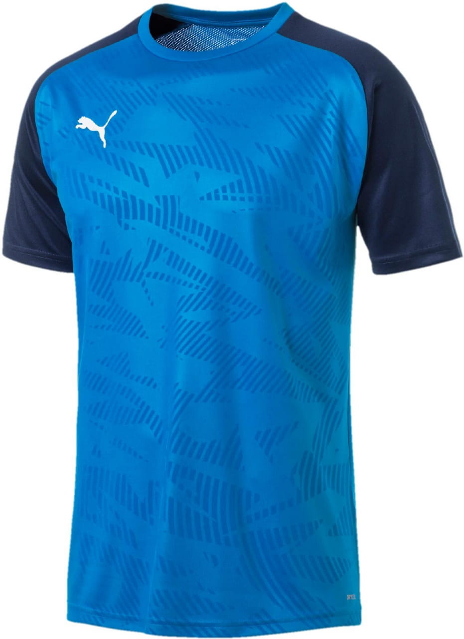 Pánske športové tričko Puma CUP Training Jersey Core