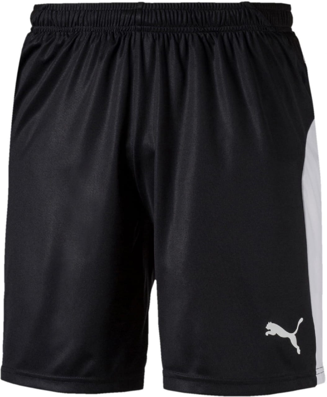 Męskie spodenki sportowe Puma LIGA Shorts