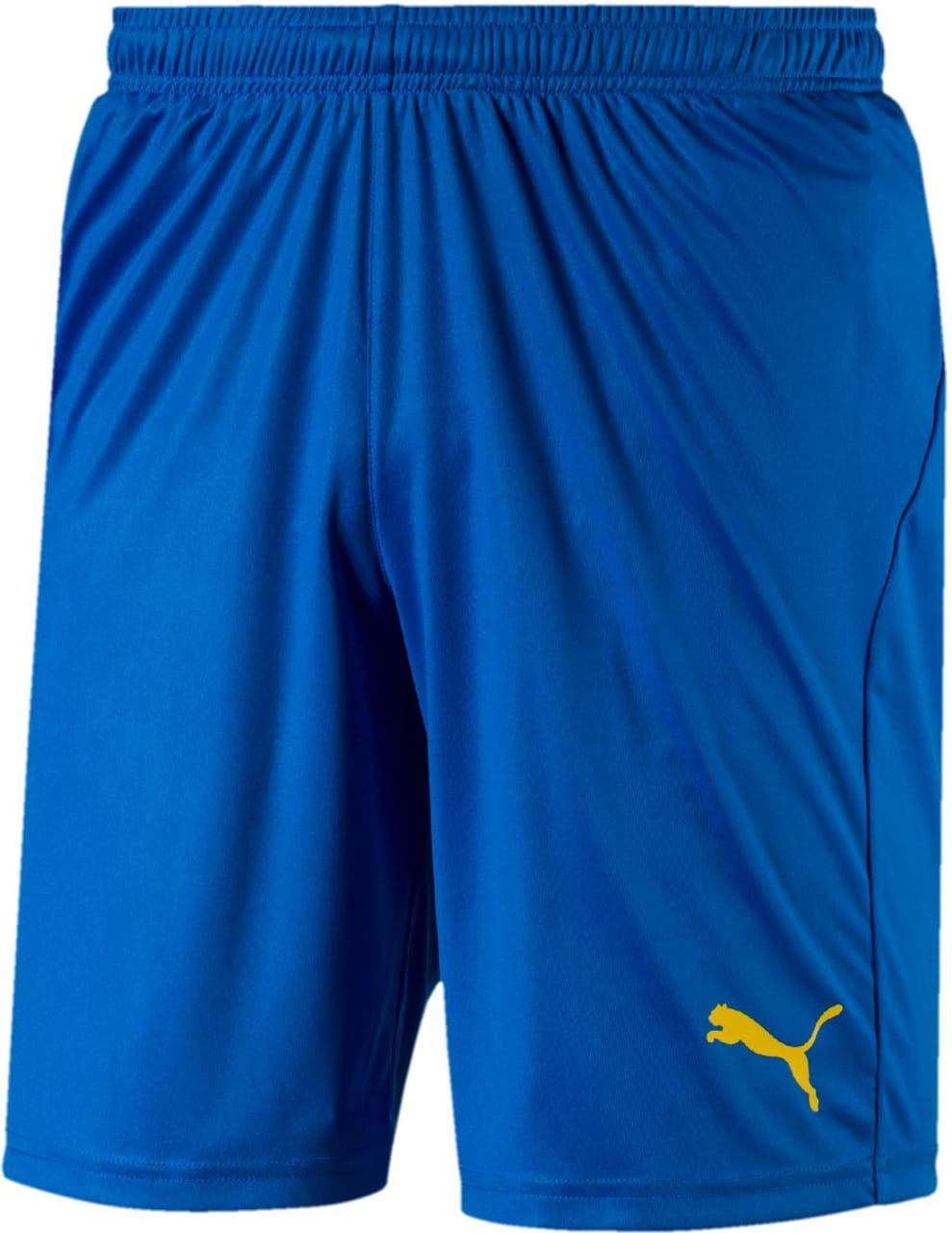 Pánské sportovní kraťasy Puma LIGA Shorts Core