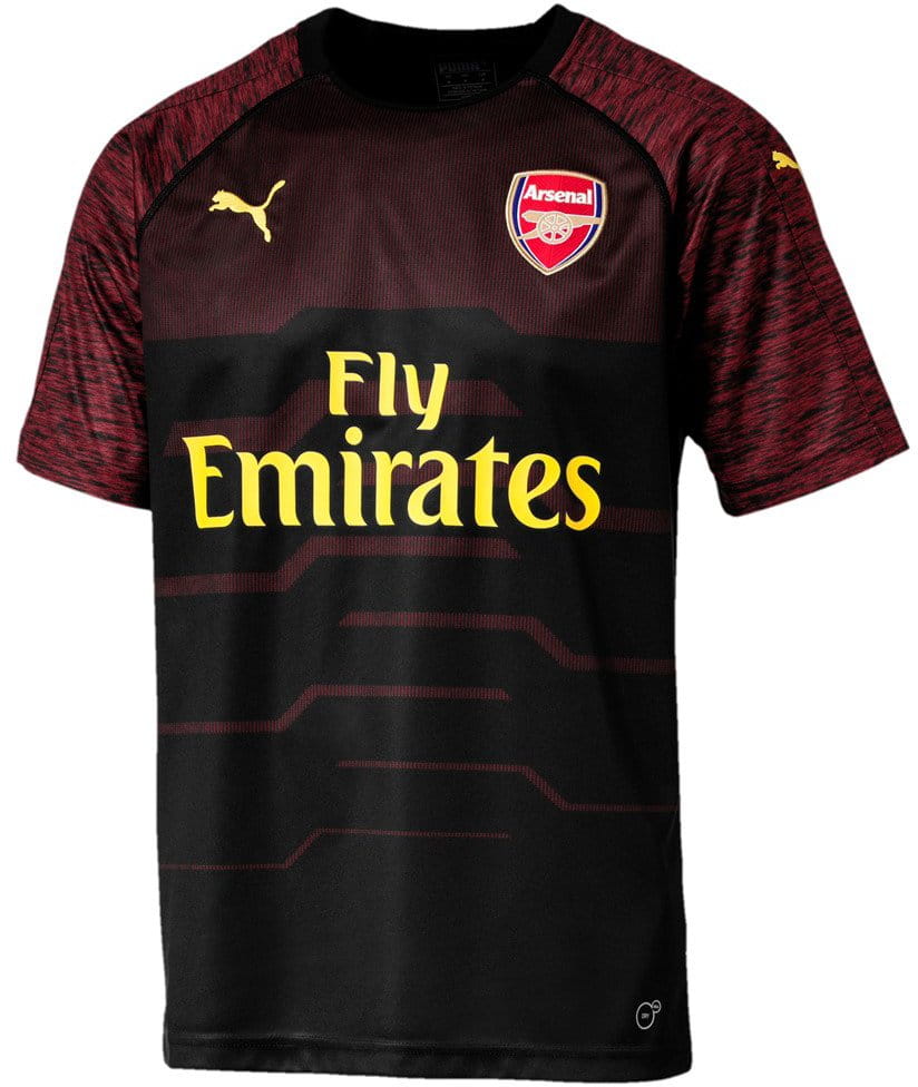 Pánské sportovní tričko Puma Arsenal FC GK Shirt Replica SS