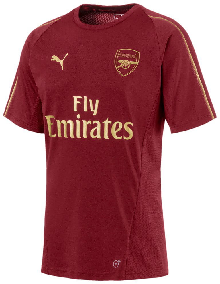 Pánské sportovní tričko Puma Arsenal FC Training Jersey SS