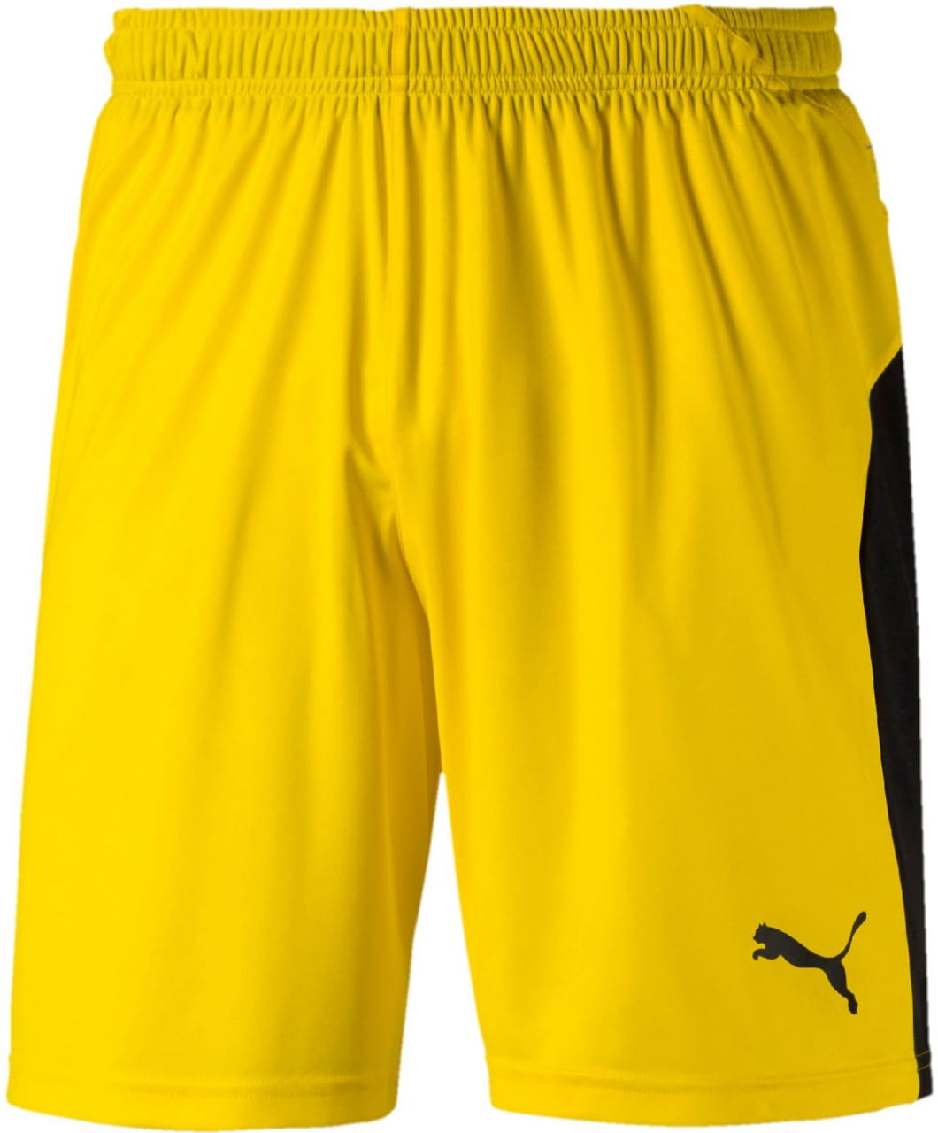 Pánske futbalové kraťasy Puma LIGA Shorts
