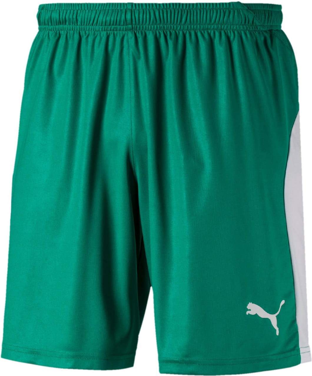 Męskie spodenki piłkarskie Puma Liga Shorts