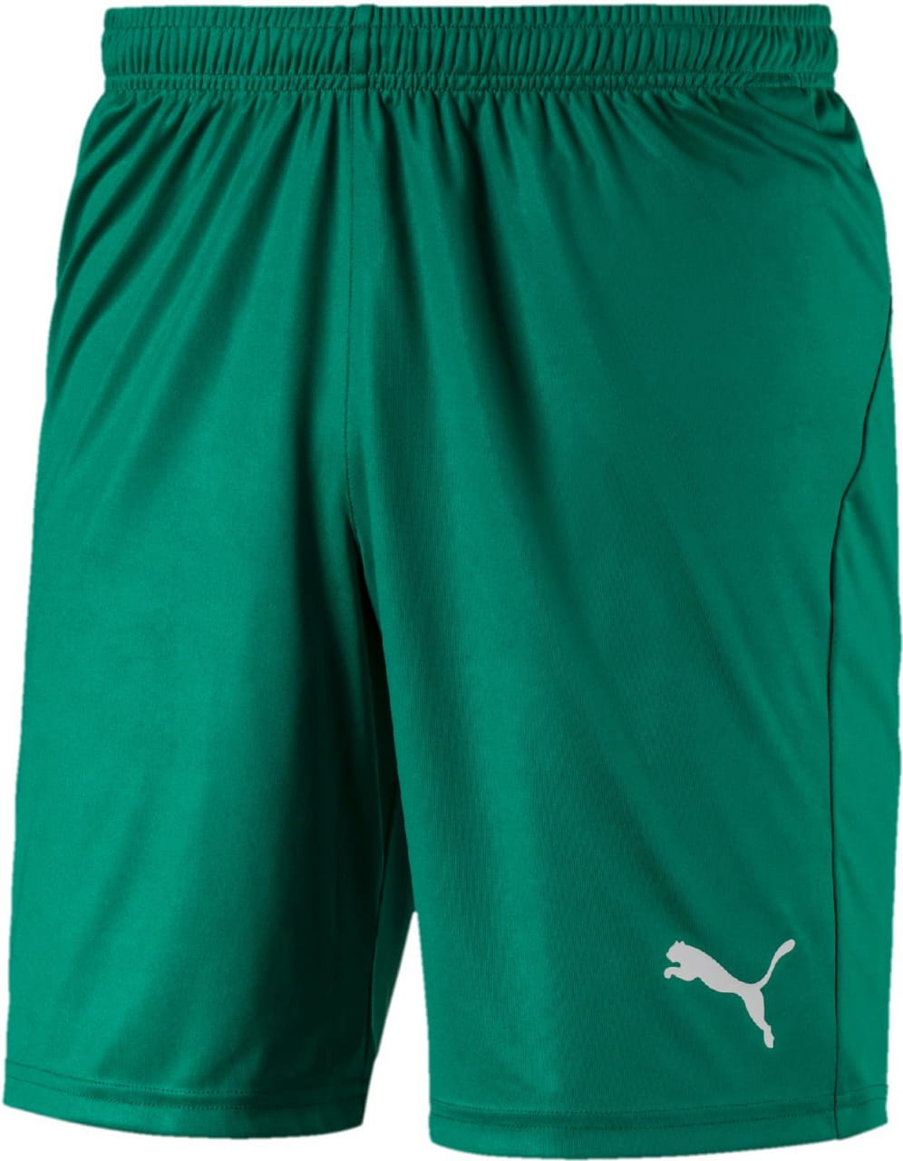 Pánské fotbalové kraťasy Puma Liga Shorts Core