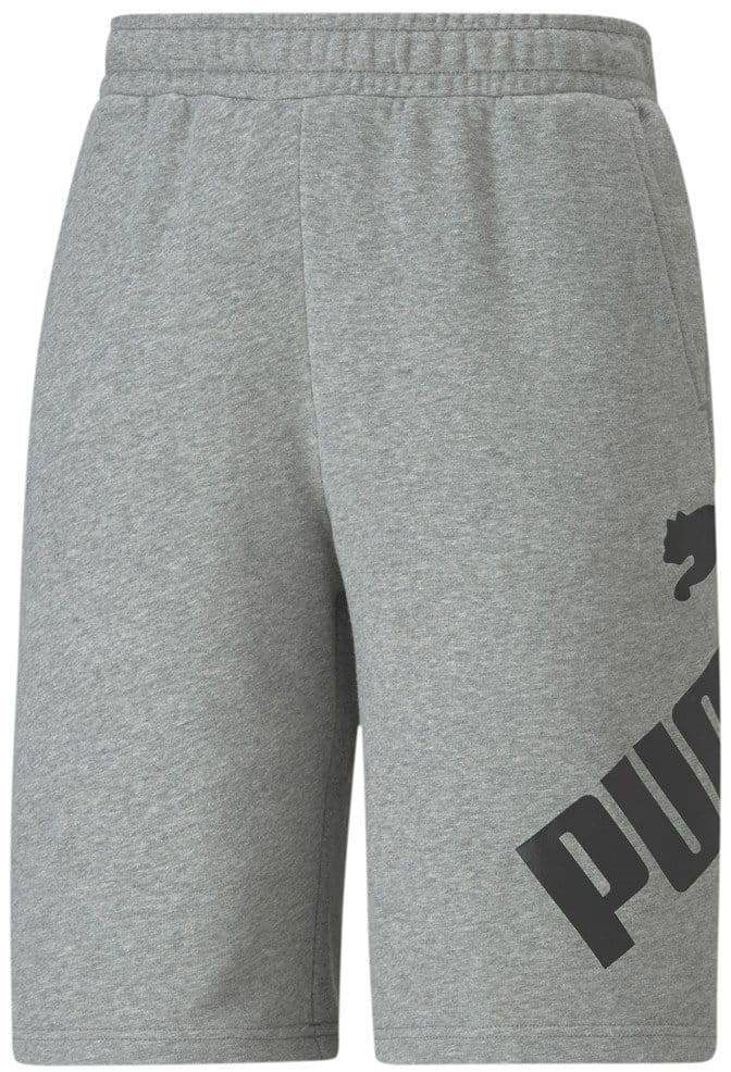 Pánské sportovní kraťasy Puma Big Logo Shorts