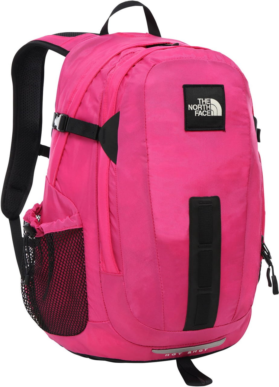 Torby i plecaki The North Face Hot Shot Backpack - Special Edition