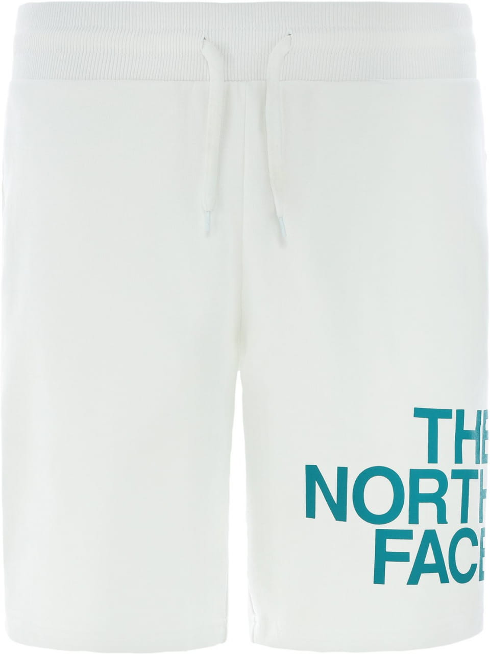 Pánské kraťasy The North Face Men's Graphic Shorts