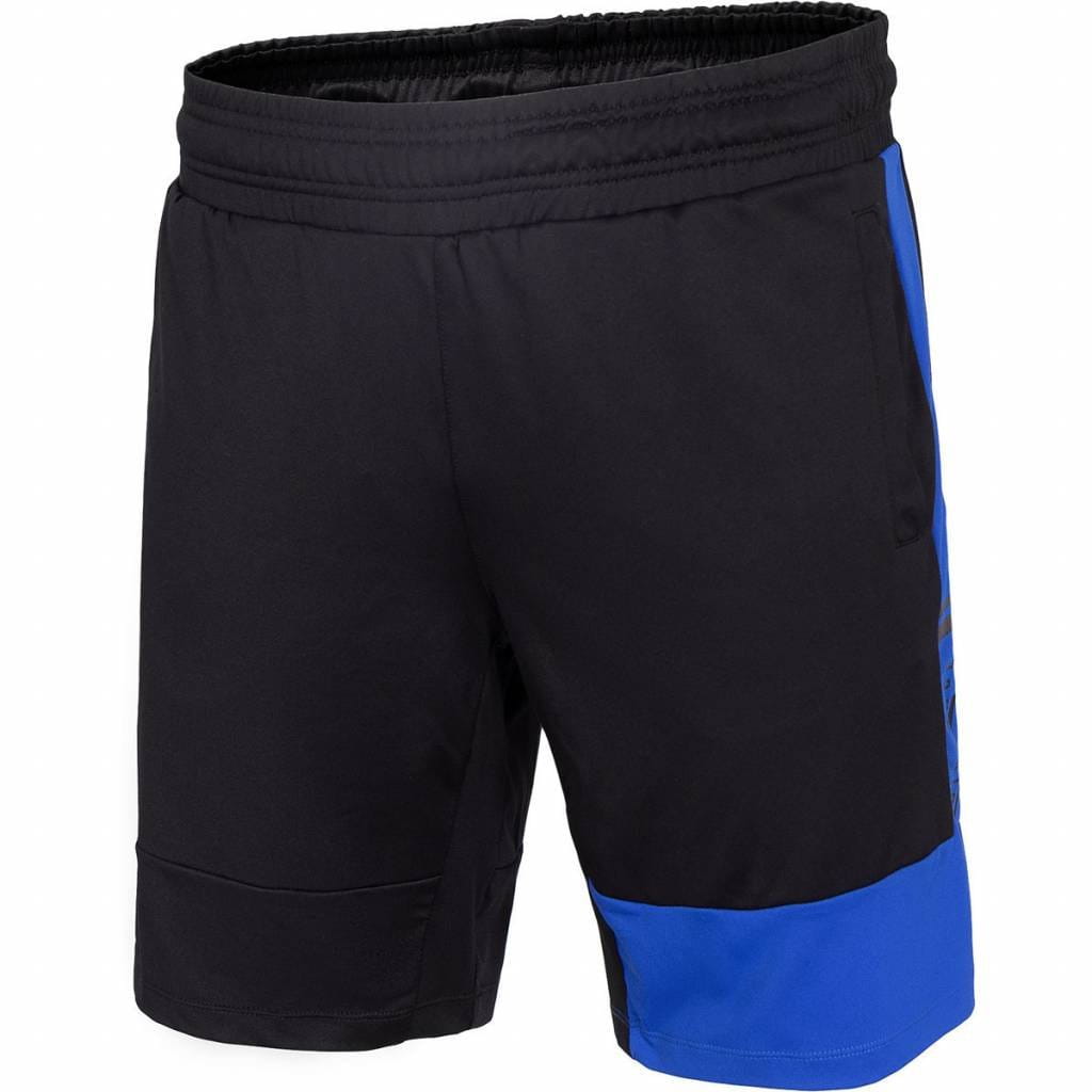 Pánské sportovní kraťasy 4F Men's functional shorts SKMF013